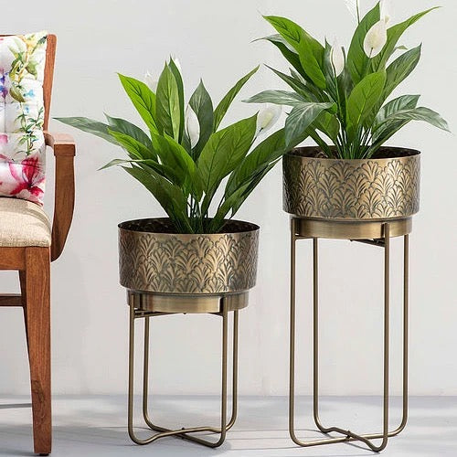 Planters: Buy Planters Online in India - DecorVilla