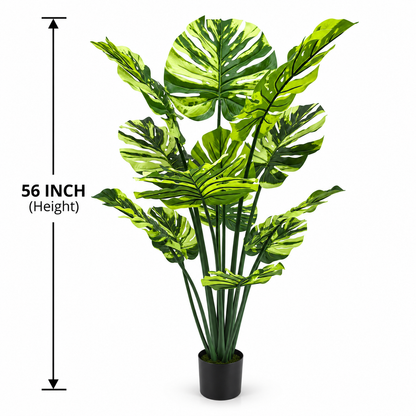 Variegated Monstera Artificial Plant [ 56 Inch ]