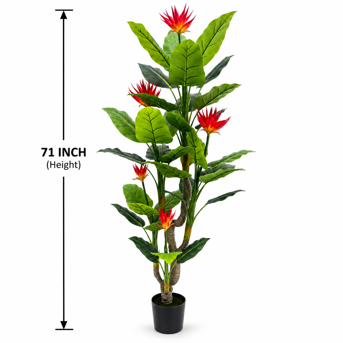 Strelitzia Artificial Plant [ 72 Inch ]
