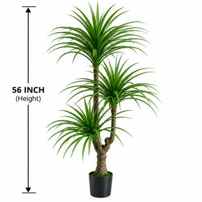 Dracaena Artificial Plant [ 56 inch ]