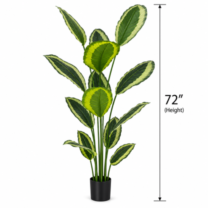 Variegated Calathea Artifical Plant [ 72 Inch ]