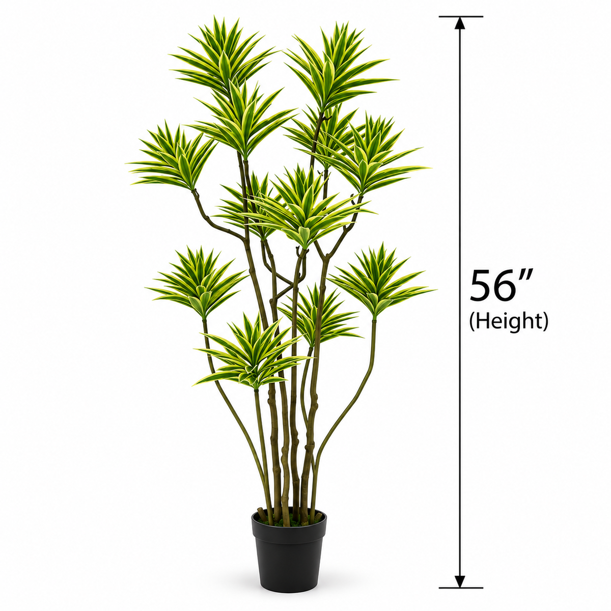 Variegated Dracaena Artificial Plant [ 56 Inch ]
