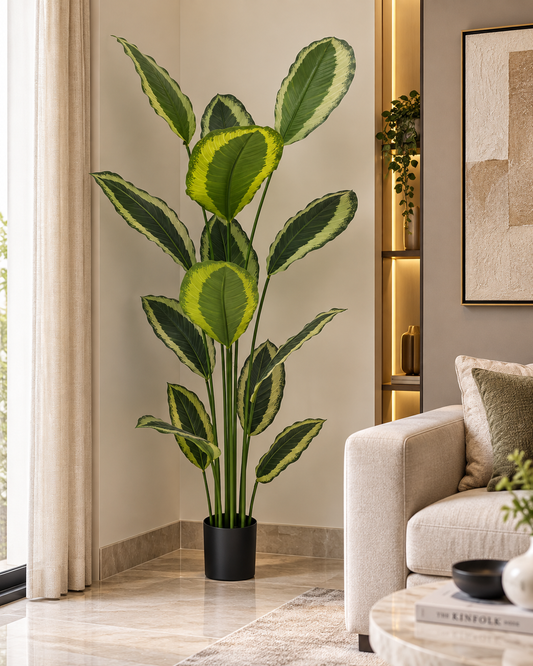 Variegated Calathea Artifical Plant [ 72 Inch ]