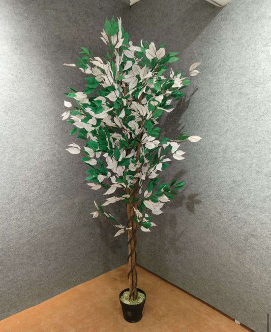 Timeless Bloom Cymbidium Orchid Artificial Plant - 78 Inches [ Green & White ]