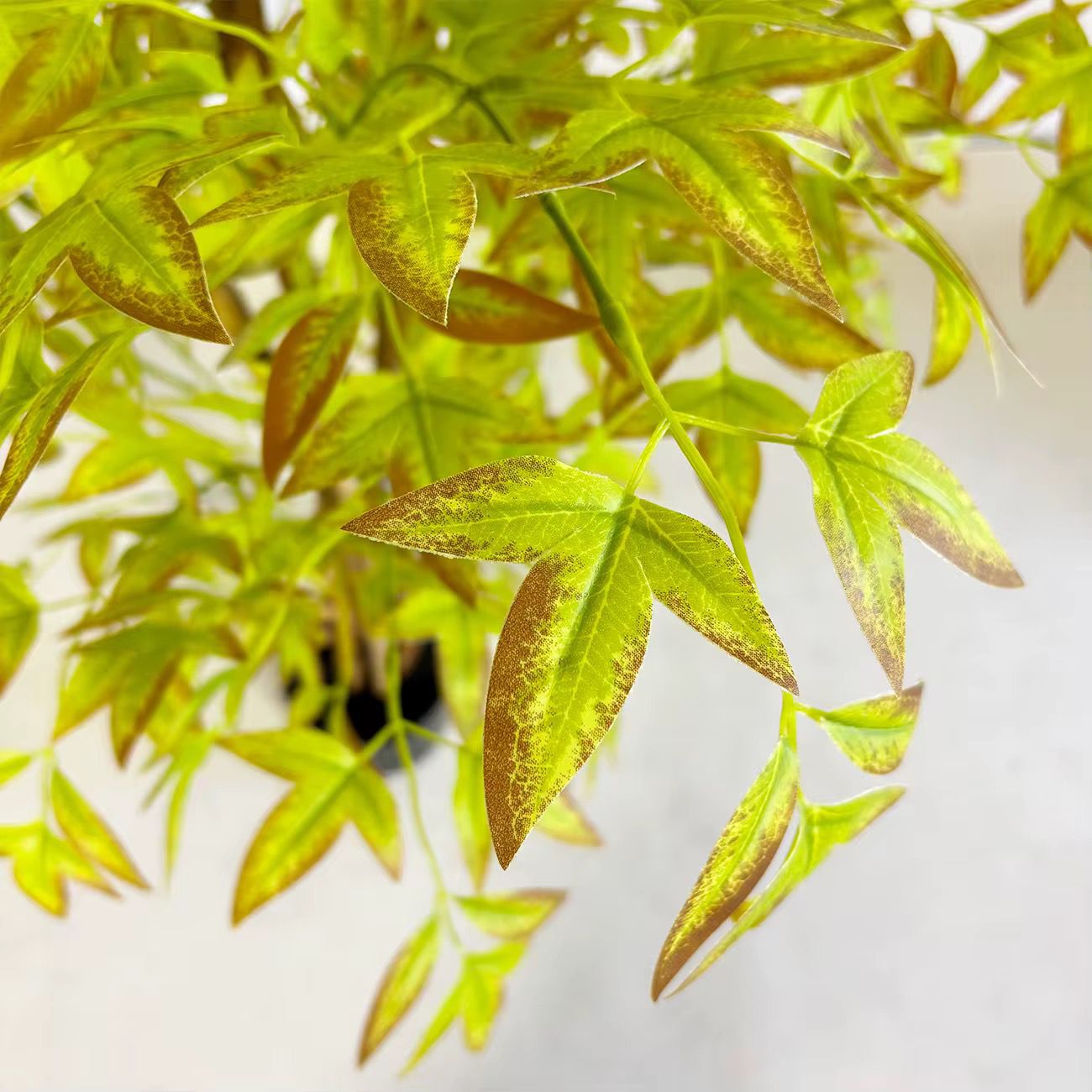 Indoor Luxe Livistona Chinensis Artificial Plant [ 60 Inch ]