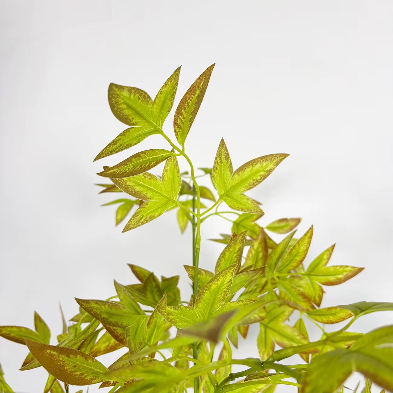 Indoor Luxe Livistona Chinensis Artificial Plant [ 60 Inch ]