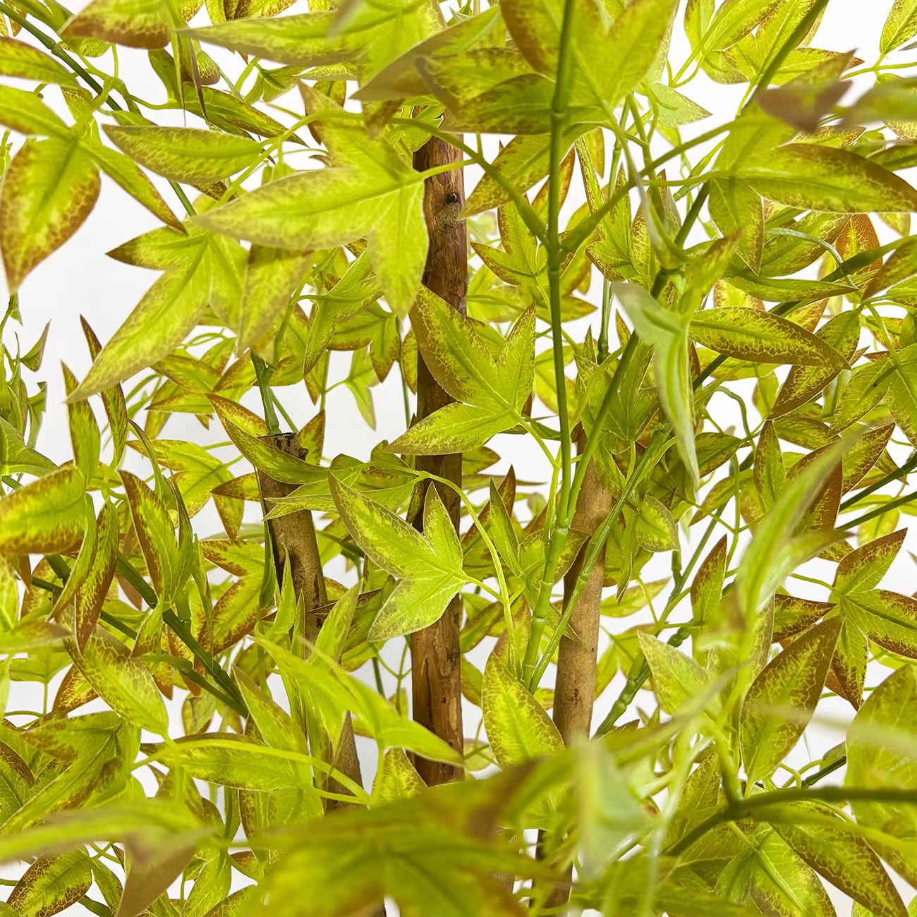 Indoor Luxe Livistona Chinensis Artificial Plant [ 60 Inch ]