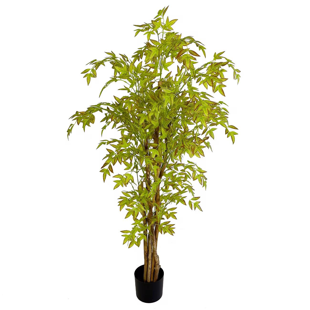 Indoor Luxe Livistona Chinensis Artificial Plant [ 60 Inch ]