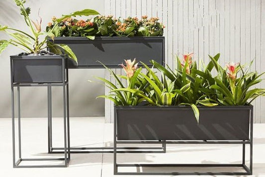 Black Fancy Metal Planters | Set of 3